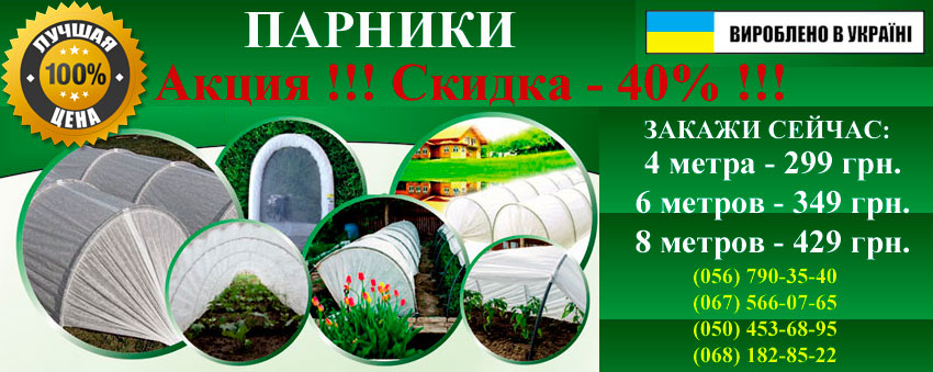 ������� ����������� ���� � �������