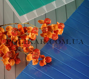 ���� �������� �������������