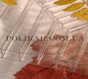 ������������ � ���� �� ������������� �� �������� �������������