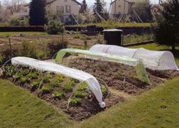 ������ ���������� ������ � �������