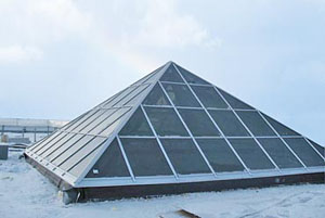 ������������ ������������