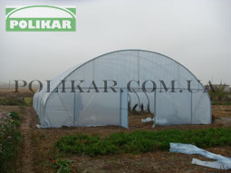 ������� ��� ������������� ����������� ���������� ���������