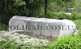 ������� �������