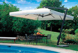 ������������ ���� �� ������