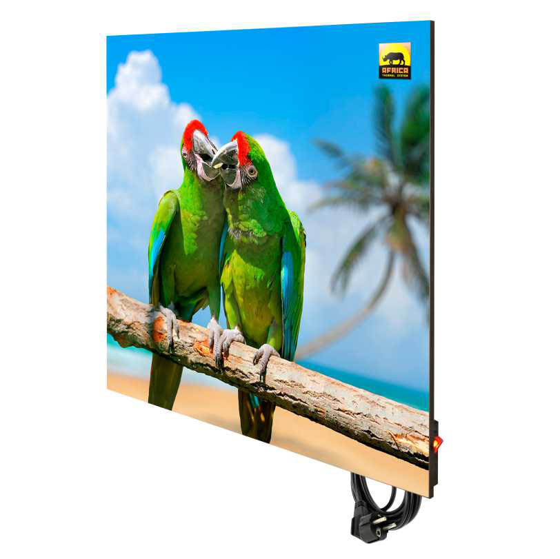 настенные с экоконвекцией обогреватели с рисунком Днепр