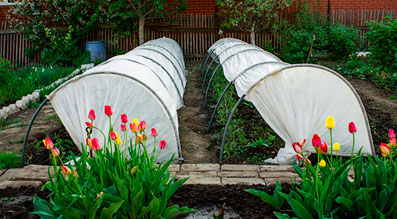 Продажа парников в Днепропетровске и Украине Купить парники Днепропетровск Украина