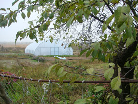 теплицы модульные под пленку ширина 7 метров теплицы тунельные пленочные шириной 7 метров