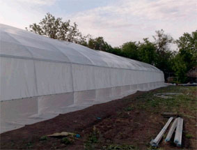 теплицы промышленные тунельные ширина 6 метров теплицы под пленку шириной 6 метров