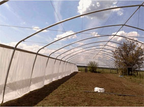 теплицы модульные тунельные ширина 8 метров теплицы фермер пленочные шириной 8 метров