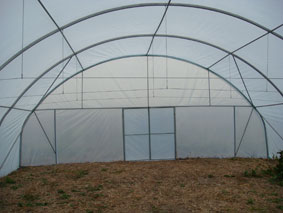 теплицы модульные професиональные ширина 8 метров теплицы професиональные пленочные шириной 8 метров