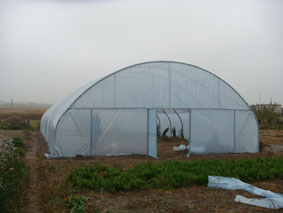 теплицы промышленные пленочные ширина 9 метров теплицы промышленные под пленку шириной 9 метров