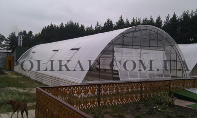 ������ ������� �����������