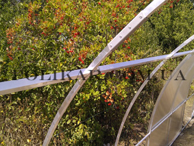 ����������� ������� ���������